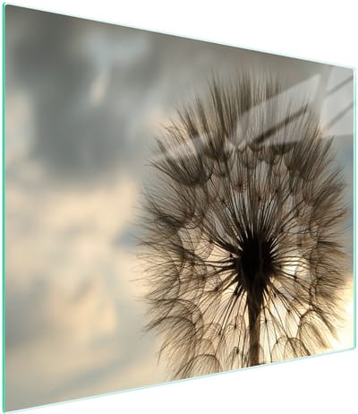 TMK ArtDeko Serie - Snijplank - 52x30 cm - Bloemontwerp - Gehard Glas