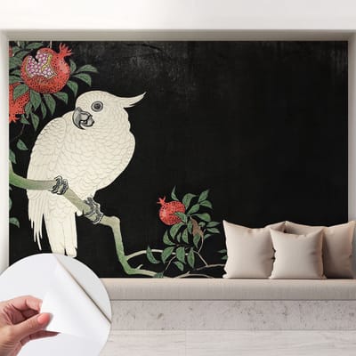Coloray Zelfklevend Behang - Granaatappelpapegaai Zelfklevend fotobehang - 208x146 cm - Zwart Zelfklevend Behang - Voor de woonkamer, slaapkamer en kantoor - Plakklare achterzijde - Stickerbehang op rol