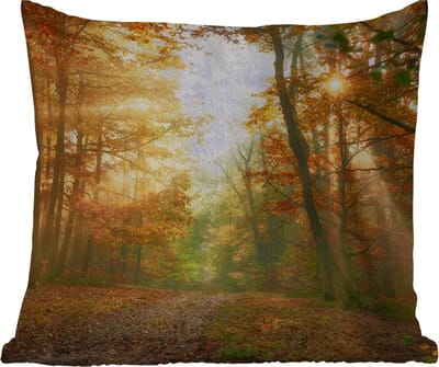 Tuinkussen - Bos - Herfst - Zon - Landschap - Natuur - Bomen - Bladeren - 40x40 cm - Weerbestendig