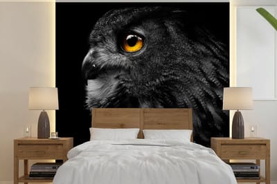 Behang - Fotobehang Uil - Vogel - Zwart - Portret - Breedte 350 cm x hoogte 350 cm