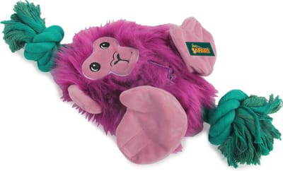 AFP Safari - Big Foot Monkey