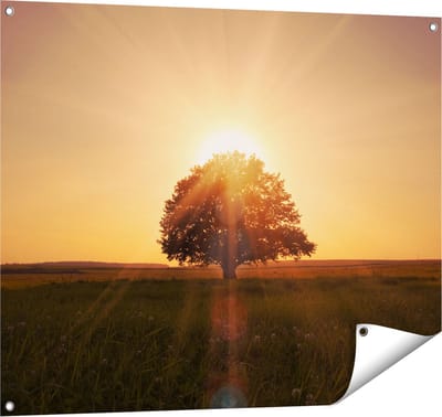 Gards Tuinposter Zonsondergang Achter een Grote Boom - 100x80 cm - Tuindoek - Tuindecoratie - Wanddecoratie buiten - Tuinschilderij