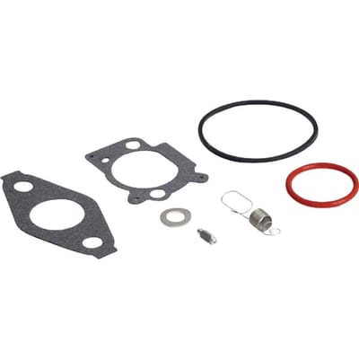 Briggs & stratton carburateur reparaties