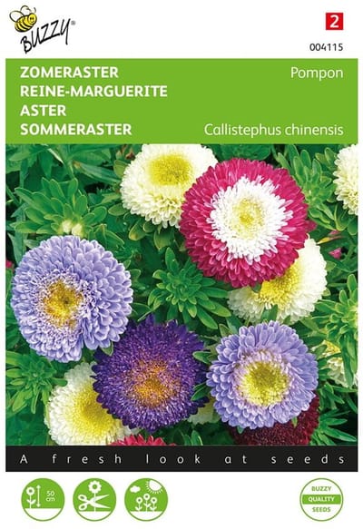 Zomeraster Pompon Gemengd (Callistephus Chinensis) Zaden