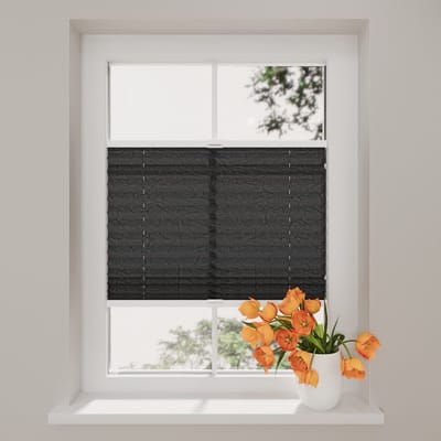 Plissegordijn Crepe - Lichtdoorlatend - 20 mm - Raven Grey - 40 x 130