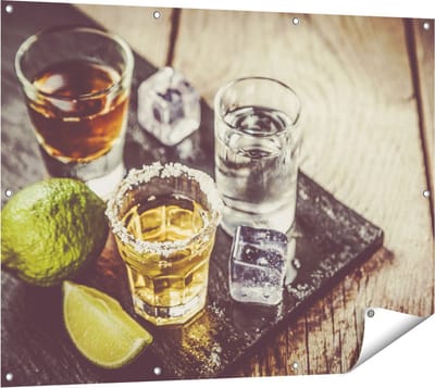 Gards Tuinposter Alcoholische Drankjes - Drank - 120x90 cm - Tuindoek - Tuindecoratie - Wanddecoratie buiten - Tuinschilderij