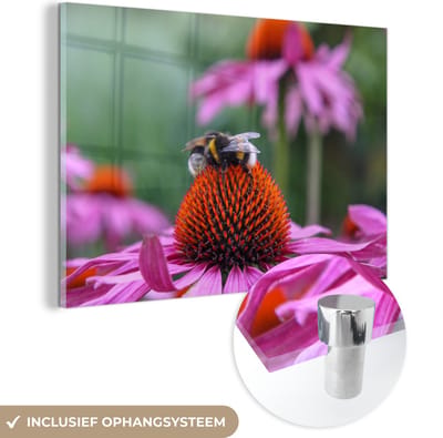 ® Glasschilderij 180x120 cm - Schilderij acrylglas - Heldere foto van een Hommel op een fel gekleurde bloem - Foto op glas - Muurdecoratie woonkamer - Wanddecoratie slaapkamer - Schilderijen