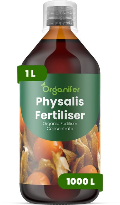 Vloeibare Meststof Voor Physalis 1 L Voor 1000 L - Npk 2-1-8 - Gelijkmatige Groei - Compacte Plantstructuur - Betrouwbare Vruchtzetting - Vruchtstevigheid - Sterk Wortelstelsel - Hittebestendig - Continue Vruchtproductie - Organifer