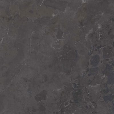 Bluestone 70 x 70 x 3,2 cm tuintegel Grijs/Blauw 2,04 stenen per m2...