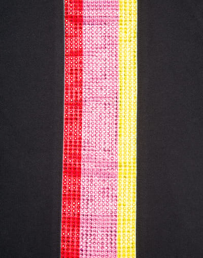 Hoodie Sweatjacket Colorfull