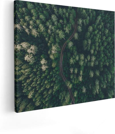Artaza Canvas Schilderij Bosweg - 50x40 cm - Wanddecoratie Landschap - Muurdecoratie Natuur - Schilderijen Op Canvas