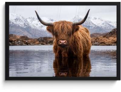 Poster in lijst - Fotolijst 60x40 cm - Posters - Schotse hooglander - Bruin - Water - Posterlijst zwart - Decoratie - Wanddecoratie woonkamer - Muurdecoratie slaapkamer