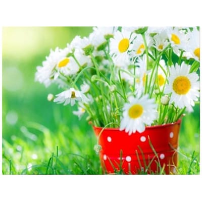 Diamantmozaïek Zonnebloem 5D Diamant Schilderij Set Diamant Borduren Strass Foto Decor 20X30CM green