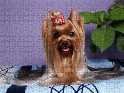 Houten Puzzel - Legpuzzel Stukjes - Ontspannen Vrije Tijd - Nauwkeurig Gesneden Stukken - 75x50cm - Meerdere Kleuren