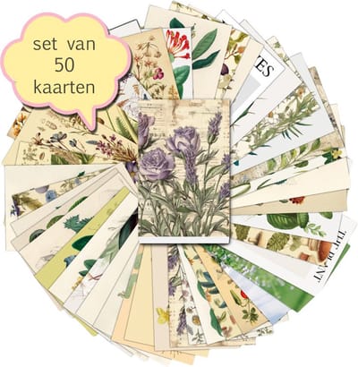 Set van 50 verschillende kaarten Jungle Vintage - ansichtkaarten - botanisch - stevig karton - blanco achterzijde - 15x10 cm