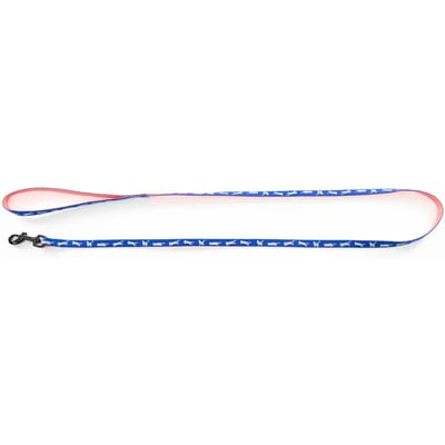 Nylon hondenriem Martin Sellier Cat Bico