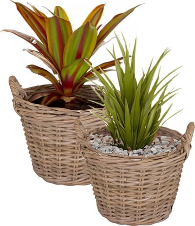 Mega Collections Planten/bloemen mand Levi - 2x - rotan - naturel - D25 x H18 cm - pot voor buiten