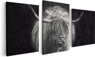 Artaza Canvas Schilderij Drieluik Schotse Hooglander Koe - Zwart Wit - 120x60 - Foto Op Canvas - Canvas Print
