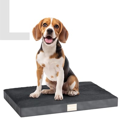 JC Pets Orthopedisch Hondenkussen - Maat L (86 x 55 x 8 cm) - Hondenbed, Benchkussen & Hondenmand met Anti-Slip en Wasbare Hoes - Geschikt voor JC Pets Hondenbench