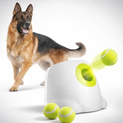 RSB Sports Automatische Ballenwerper Hond Maxi - Voor 6 Tennisballen