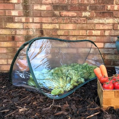 Mini Polytunnel Kas - Plantentunnel Kweekkas - Planten Beschermen - Pop-up Ontwerp - 150x60cm 3 Stuks - Transparant