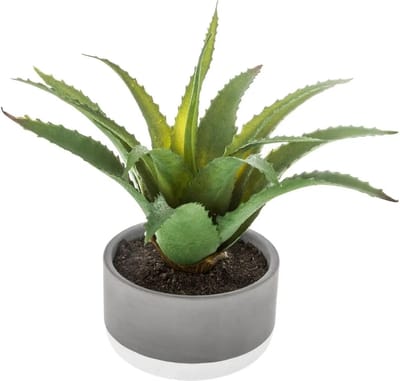 Atmosphera vetplant kunstplant - in pot van cement - H22 cm - Nepplanten - pot van 11 x 7 cm