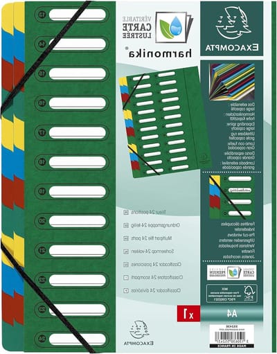 Sorteermap HARMONIKA 1 - met elastieken en uitgesneden vensters - glanskarton - uitbreidbare rug - 24 vakken - A4 - 245 x 32cm - groen