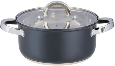 alpina Kookpan met Glazen Deksel 21 cm - 3,6L RVS Pan - Alle Warmtebronnen
