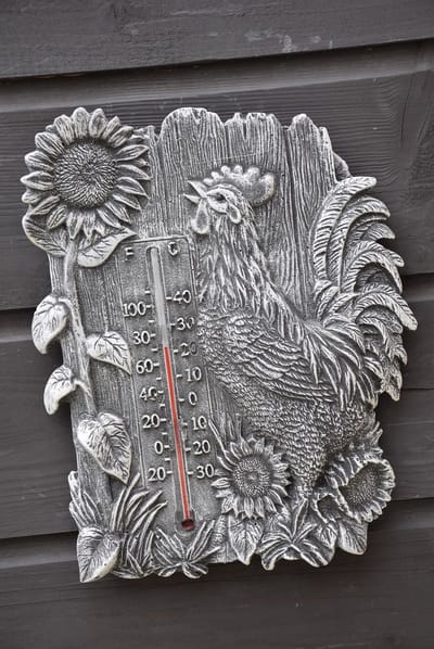 Thermometer met Kip, om op te hangen