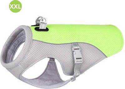 Bovista Koelvest Hond - Koelvesten - Verkoeling - Honden Kleding - Hondenkleding - Duurzaam - Groen - Maat XXL