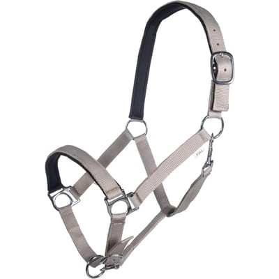 Halster voor paarden HKM Stars