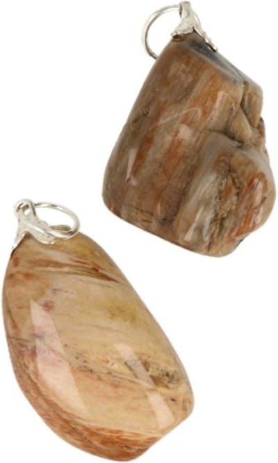 Versteend hout edelsteen hanger