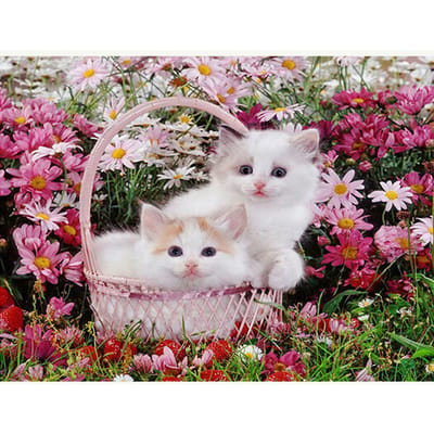 Peinture Diamant Fleur de Marguerite et Chat Broderie Diamant Image Strass Point de Croix Décor Maison 20X30CM gray
