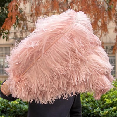 10 STUKS Rode Struisvogelveren Bulk 15-60CM Natuurlijke Veren Voor Knutselen Bruiloft Feest Tafeldecoraties Decoratie Carnaval Plumas 15-20CM 6-8INCH