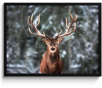 Poster in lijst - Fotolijst 70x50 cm - Posters - Hert - Winter - Sneeuw - Bos - Natuur - Dier - Posterlijst zwart - Decoratie - Wanddecoratie woonkamer - Muurdecoratie slaapkamer