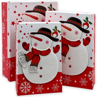 Dailygoods- Geschenkdoos 3-delige set - Geschenkdozen - Cadeauverpakking - Kerstmis - 3D-motief (sneeuwman) - Perfect voor feestdagen