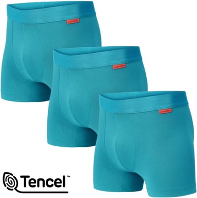 Undiemeister Boxershorts Heren - 3-Pack - Naadloos Ondergoed - Onderbroeken - Tencel - Aurora Sky (Cyaan) - Maat S