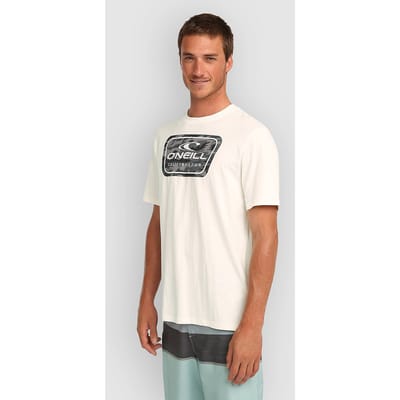 O'Neill Graphic T-Shirt grijs