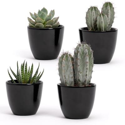 Set van 4 keramische potten voor gebruik binnenshuis, afmetingen 7 x 6 cm, ideaal voor vetplanten, bonsai, bloemen, moderne decoratieve vazen voor thuis, bureau, tafel, kantoor, zwart