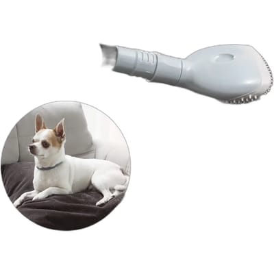 Brosse enlève-poils pour aspirateur - INNOVAGOODS - Home Pet - TPR/ABS - 13 x 16 x 7 cm - 2 adaptateurs
