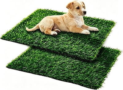 Kunstgras hondentoilet voor thuis, 35,5 x 46 cm, herbruikbaar puppytoilet, ideaal voor balkon en buitengebruik, training pads voor honden