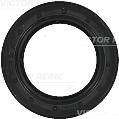 Victor Reinz Nokkenaskeerring  REINZ 81-10590-00