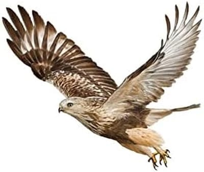 Store_8 - Eagle 3D Car Sticker - Auto Sticker - Unieke Decoratie - Zwart/Bruin - Dieren Embleem - Geschikt voor Auto's - Type 1/2/3/4