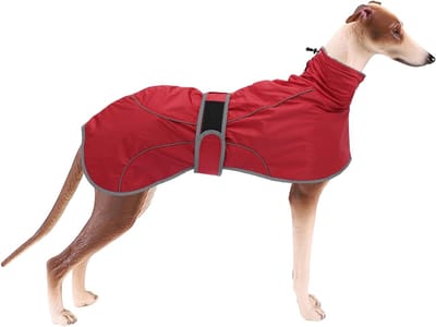 Hondenjas met Warme Fleece Voering, Verstelbare Outdoor Hondenkleding voor Middelgrote en Grote Honden, Ideaal voor Koude Dagen en Wandelen