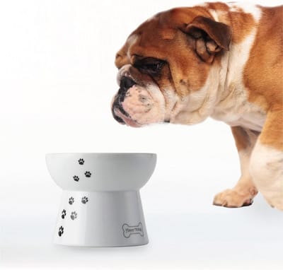 Verhoogde Hondenbak - Voerbak - Comfortabel Eten - Vaatwasser Magnetronbestendig - 12.4 x 12.4 x 10 cm - Wit