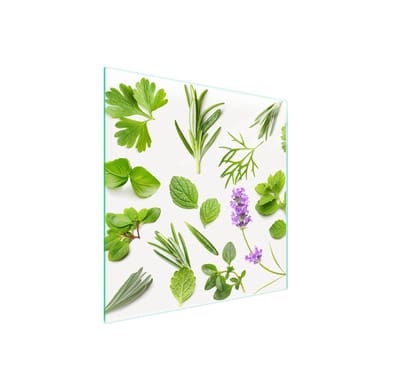 TMK ArtDeko Serie - Glazen Beschermplaat - 50x52 cm - Veelkleurig - Voor Alle Kookplaten
