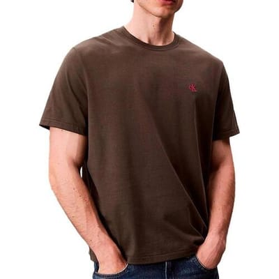 T-shirt Korte Mouw Calvin Klein Jeans Easy