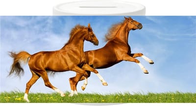 Spaarpot - Bruine Paarden