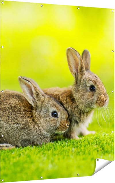 Gards Tuinposter Twee Konijnen op het Groene Gras - 120x160 cm - Tuindoek - Tuindecoratie - Wanddecoratie buiten - Tuinschilderij