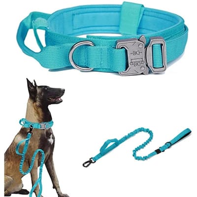 Ensemble de laisse et collier tactique durable pour chien, collier militaire réglable pour animal de compagnie, laisse pour chien de taille moyenne et grande, accessoires de dressage pour berger allemand (as the picture,L Neck 45-55CM)